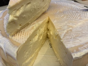 Morlacco del Grappa